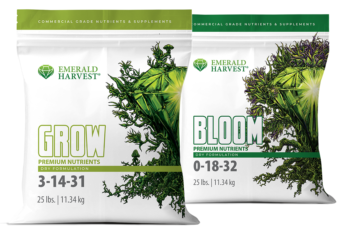 Grow Bloom