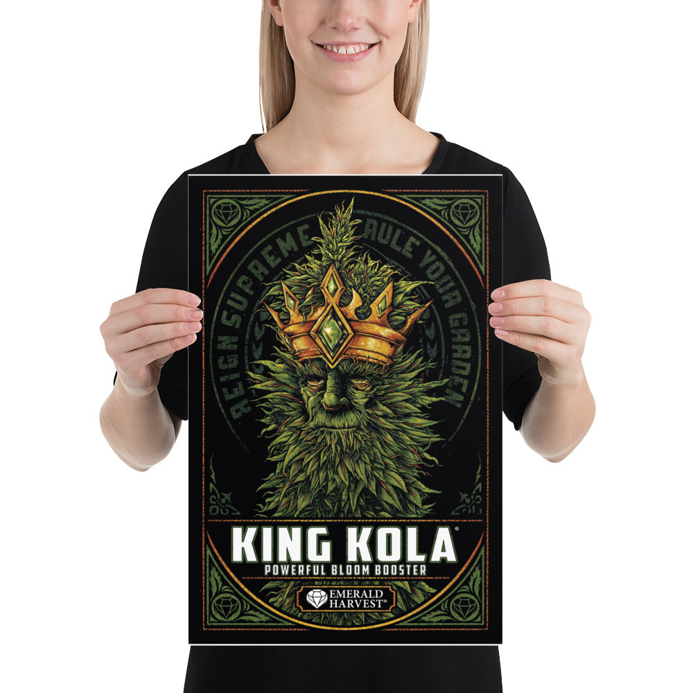 Póster King Kola