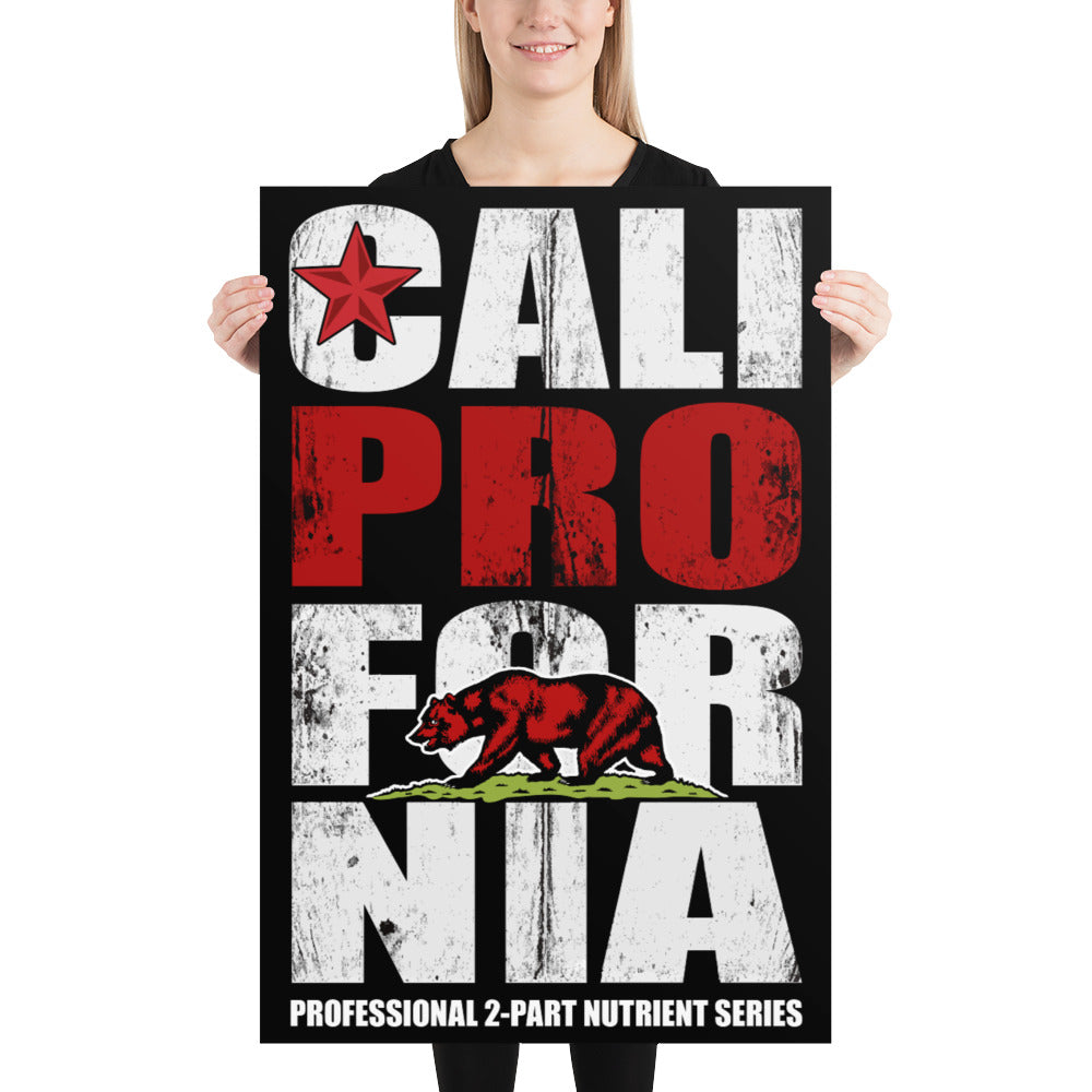 Cali Pro Fornia Poster (24 x 36 in)