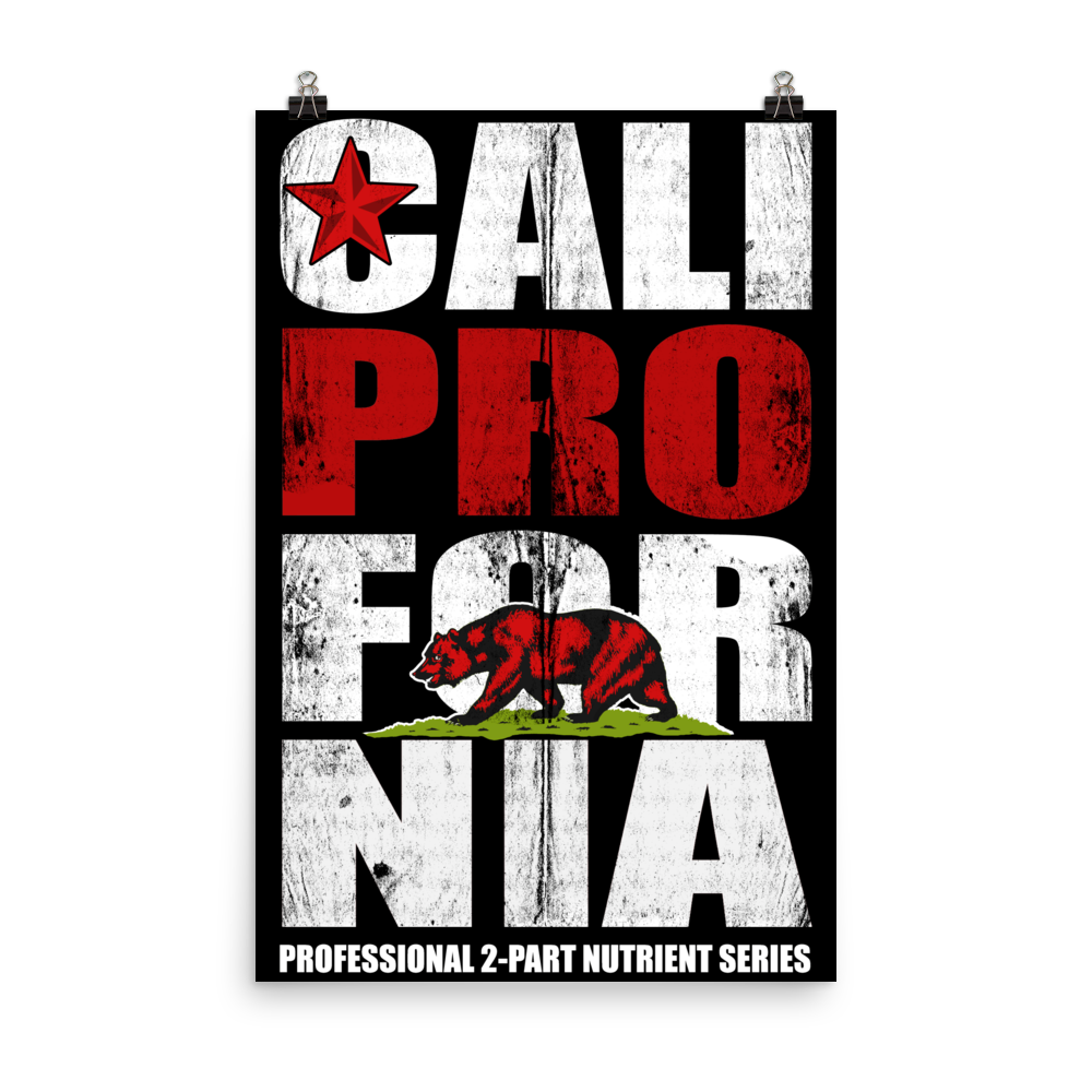 Cali Pro Fornia Poster (24 x 36 in)