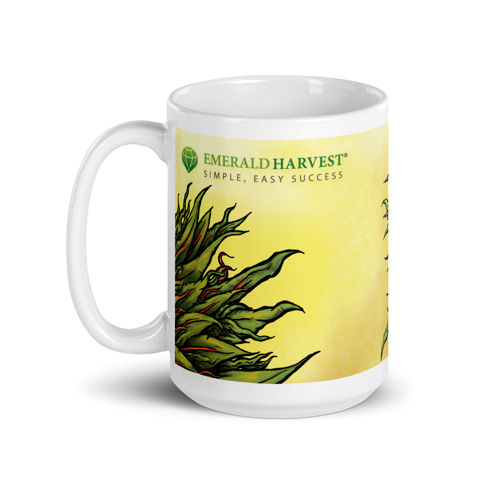 King Kola Mug (Large)