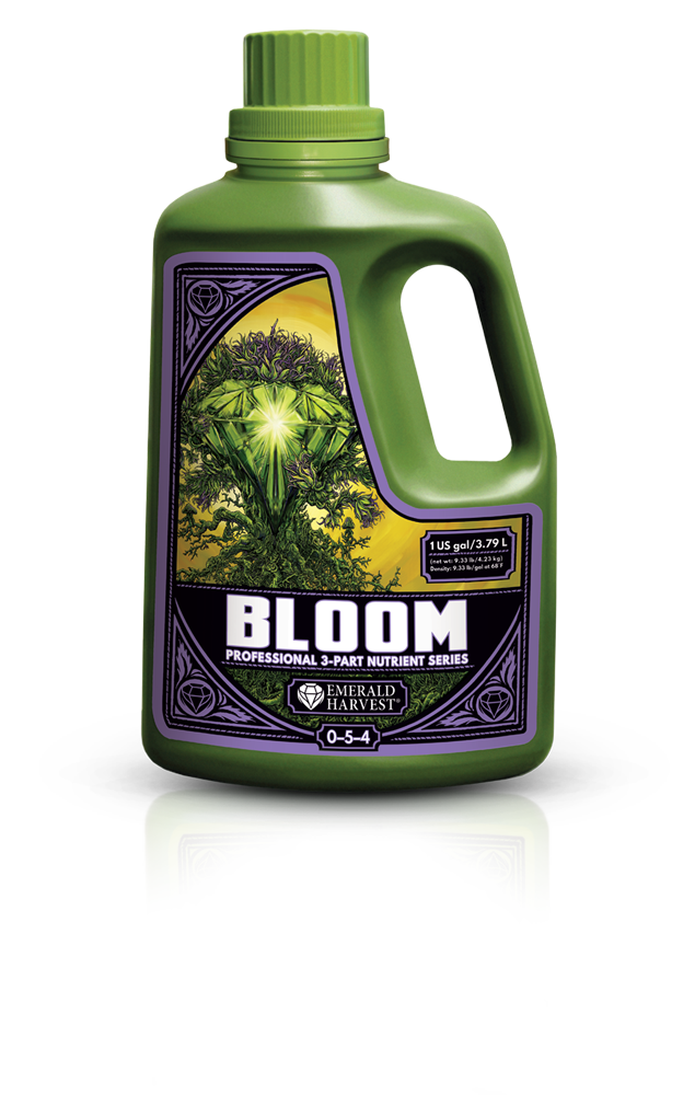 Bloom