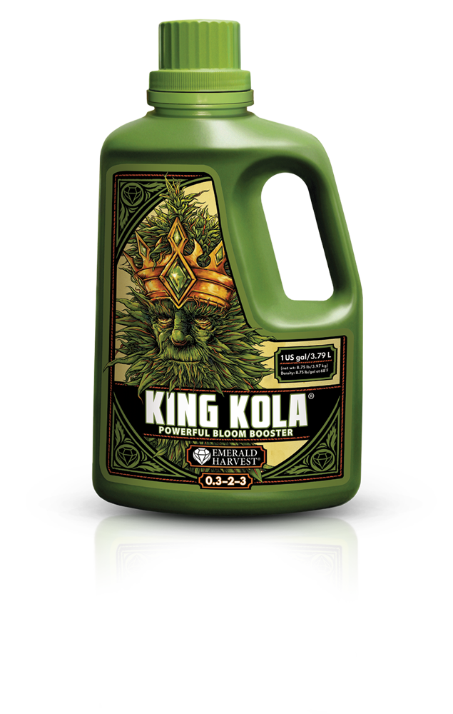 King Kola