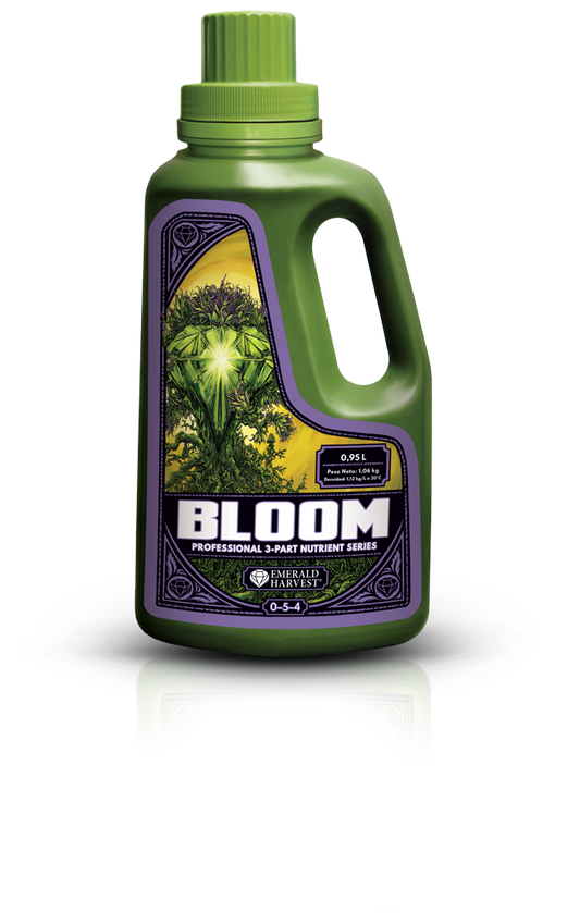 Bloom