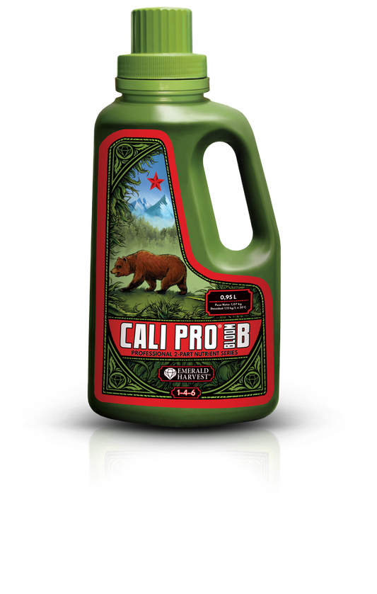 Cali Pro Bloom B