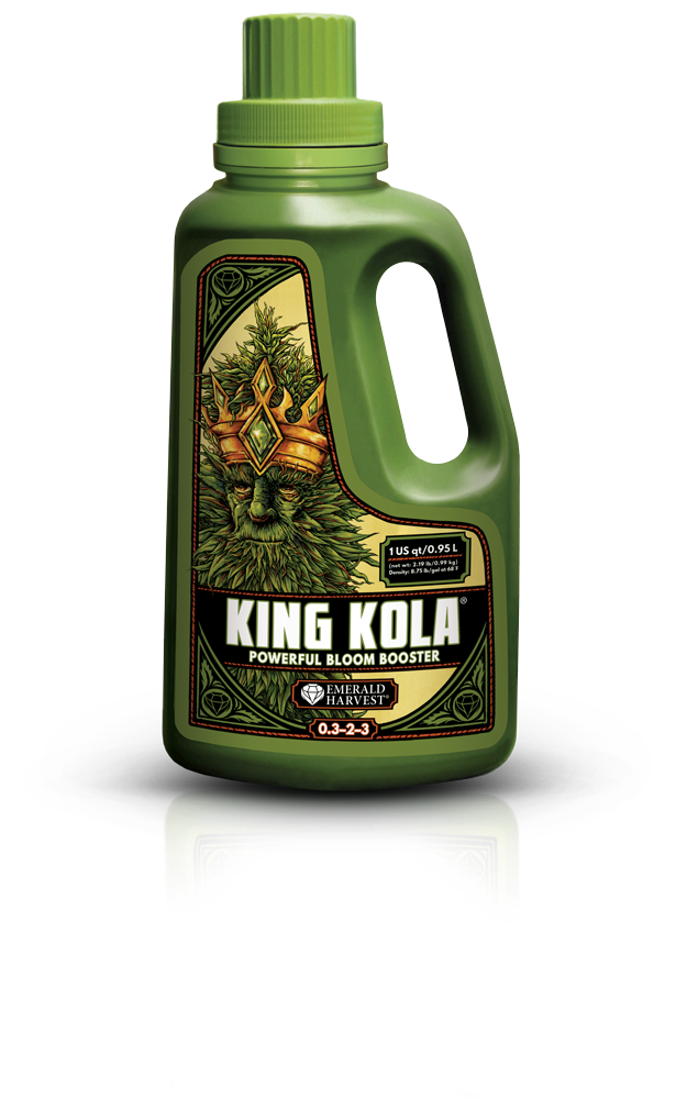 King Kola