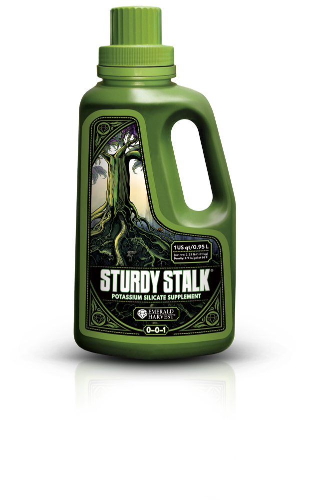 Sturdy Stalk