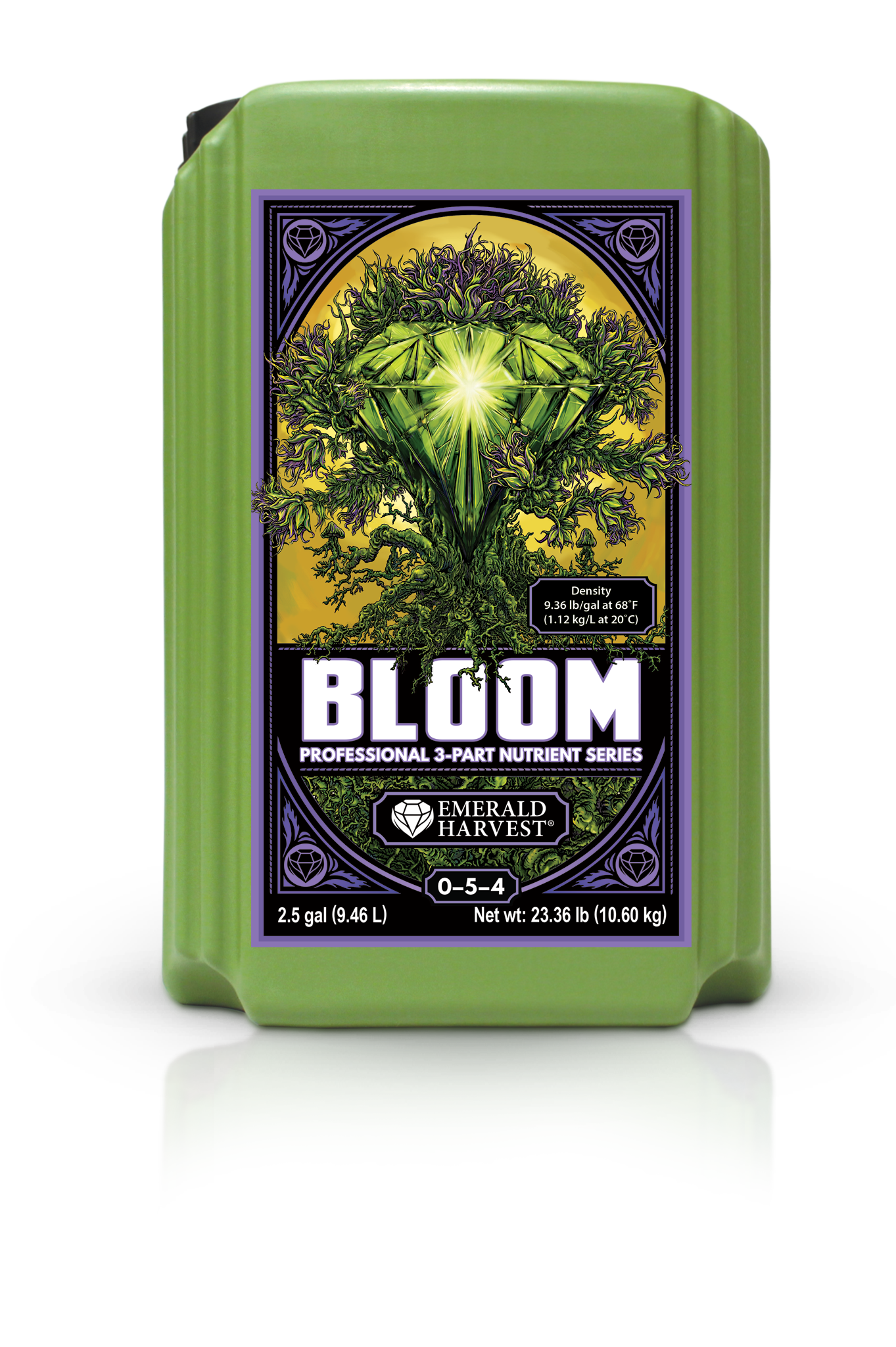 Bloom