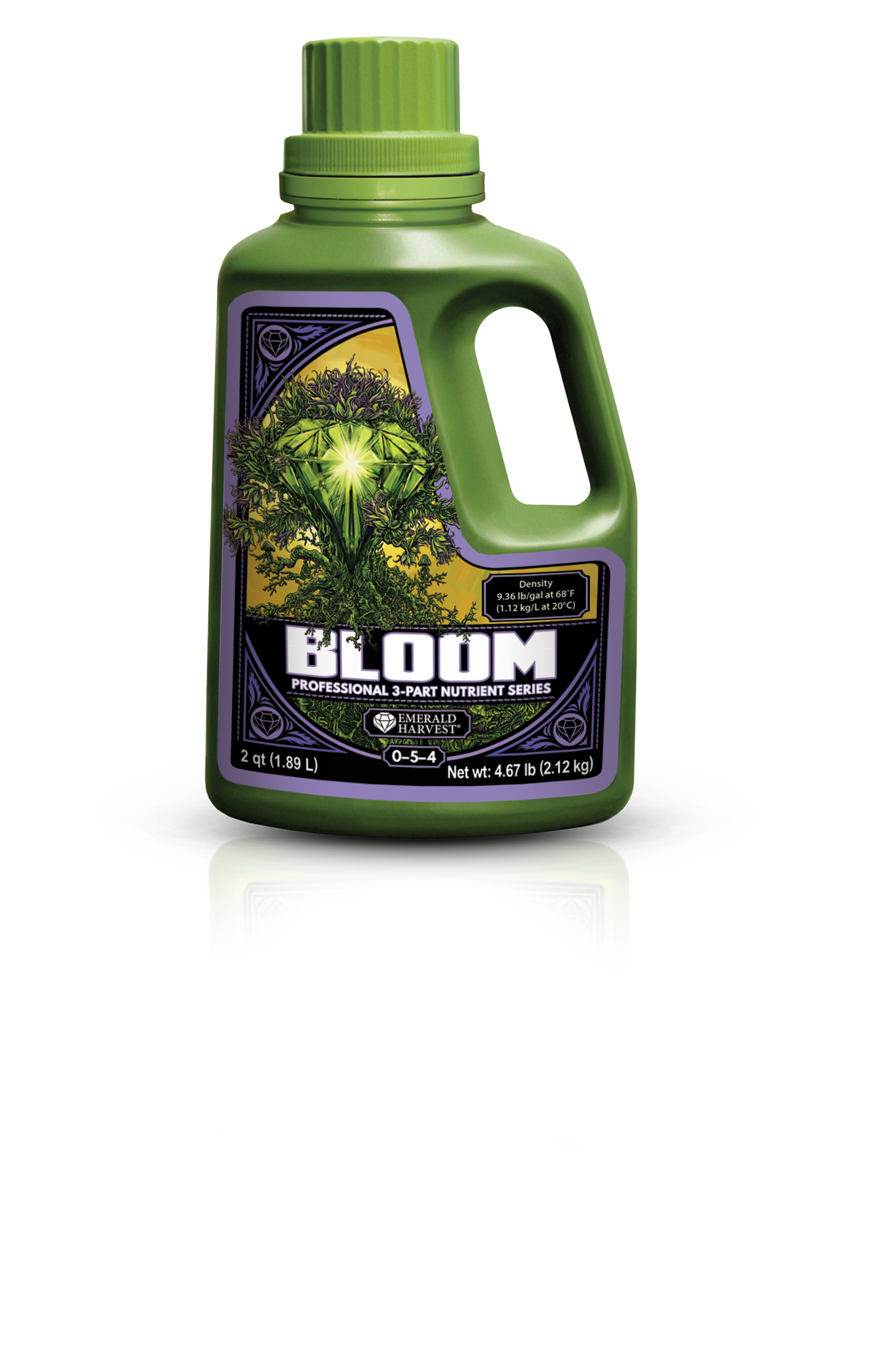 Bloom