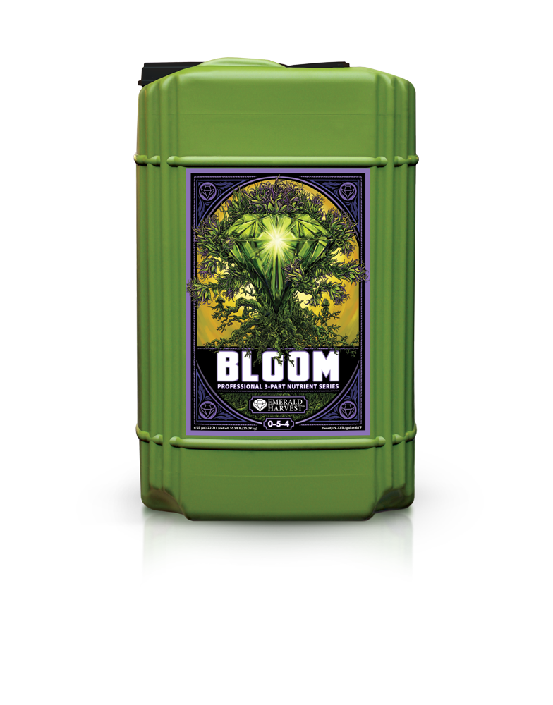 Bloom