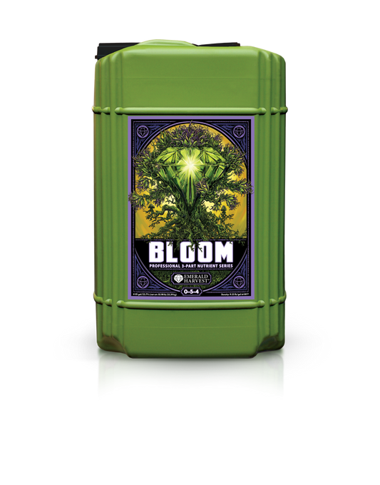 Bloom