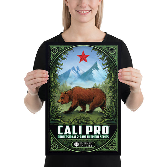 Póster Cali Pro