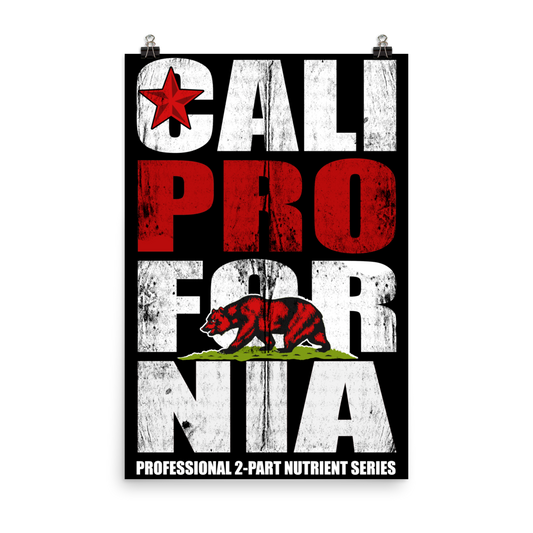Cali Pro Fornia Poster (24 x 36 in)